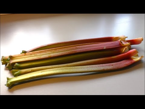 Rhabarberkompott mit Vanillepudding 👍 Es ist Rhabarber-Zeit‼️ Zauberhafter Geschmack 😋