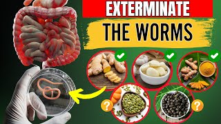 EXTERMINATE The Worms - 14 Foods That Destroy Intestinal Parasites! (NOT WHAT YOU THINK)