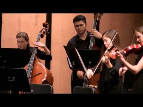 NCP Chamber Strings Spring Concert 2017