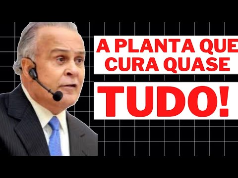 PARA QUE SERVE A CANNABIS MEDICINAL ! - DR.LAIR RIBEIRO/CARDIOLOGISTA E NUTRÓLOGO