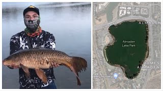 Giant Fish Almaden Lake Sunset Fishing