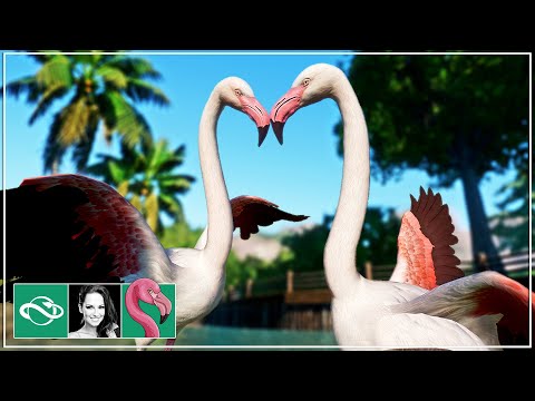 Starting a New Tropical Zoo in Franchise Mode | Ep. 1 | Planet Zoo Gameplay