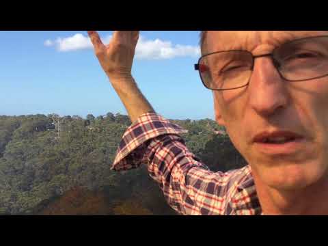 Mickangelhere’s Australia Bushfire 1