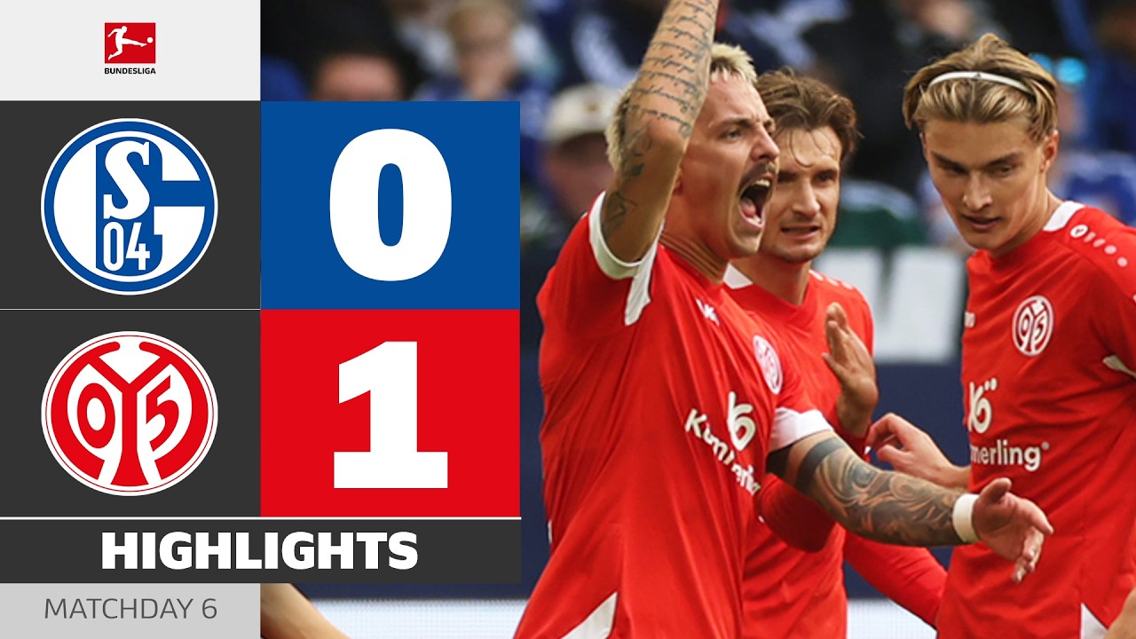 FC Schalke 04 0 - 1 1. FSV Mainz 05 highlights