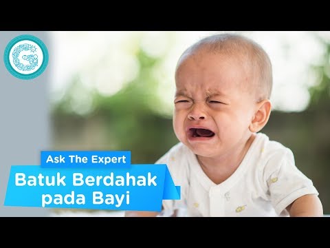 download lagu mp3 mp4 Tips Mengobati Batuk Berdahak Pada Bayi, download lagu Tips Mengobati Batuk Berdahak Pada Bayi gratis, unduh video klip Tips Mengobati Batuk Berdahak Pada Bayi