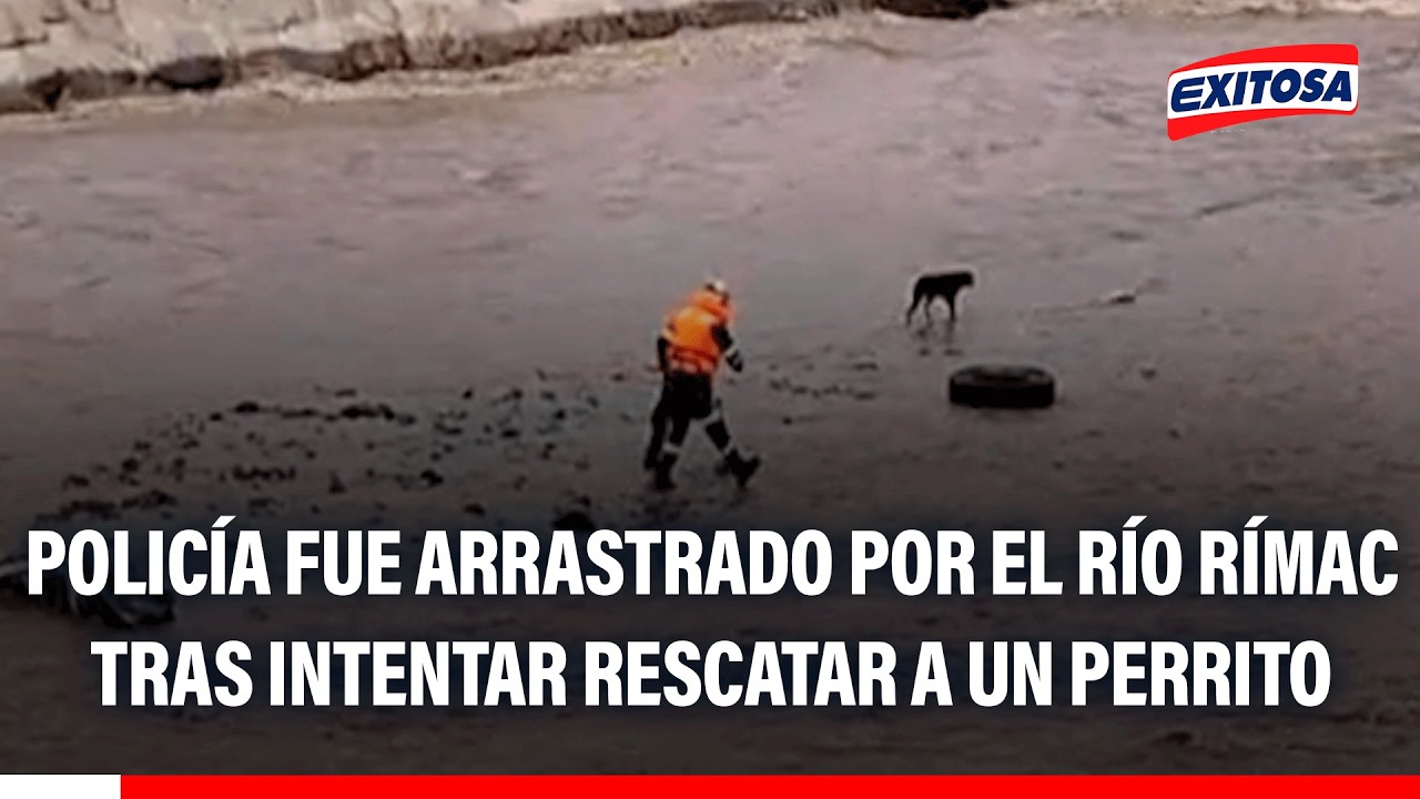 🔴🔵 Policía fue arrastrado por el río Rímac al intentar rescatar a un perrito atrapado