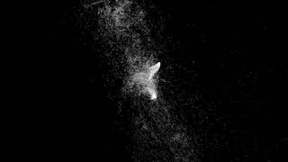 DASOMxVIOLETA – “남(南) : C”