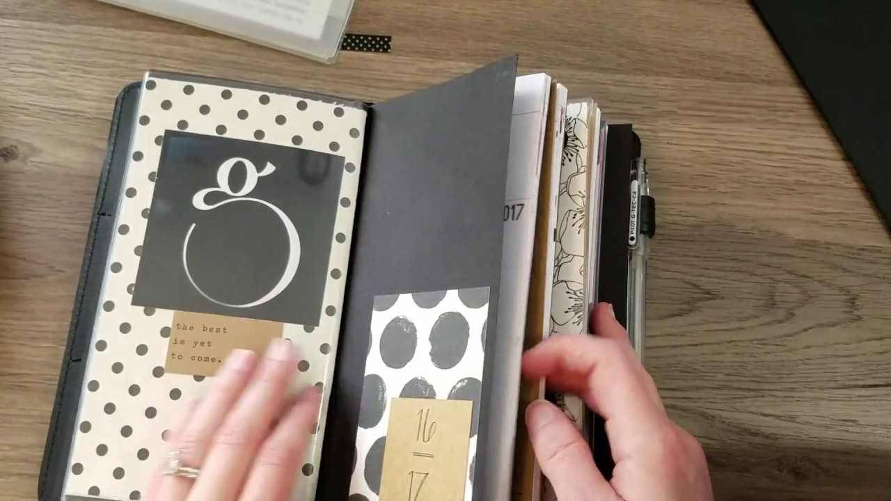 Foxy Fix Fitting Comparison Wide, Compact, Single - Filled to Max