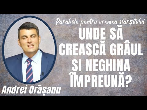 25. UNDE să crească grâul și neghina împreună? - Andrei Orasanu