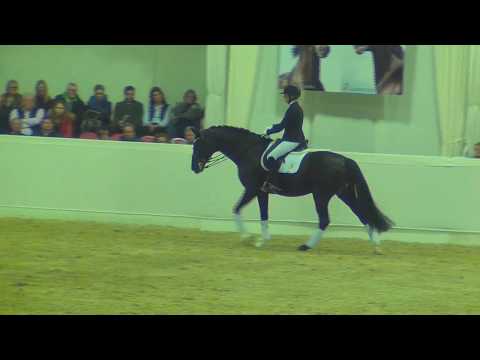 DELOREAN &  Lena Waldmann