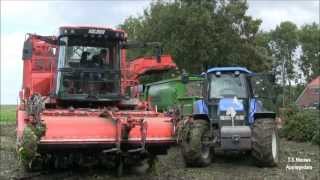 preview picture of video 'Sugarbeet harvesting Mts.Noordam -Ten Have Borgsweer 2013 * HD *'