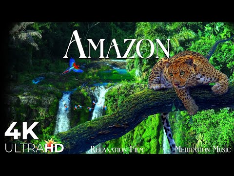 Amazon Rainforest in 4K • Our Planet & Beautiful Relaxing Music, Stress relief by Relaxation Film
