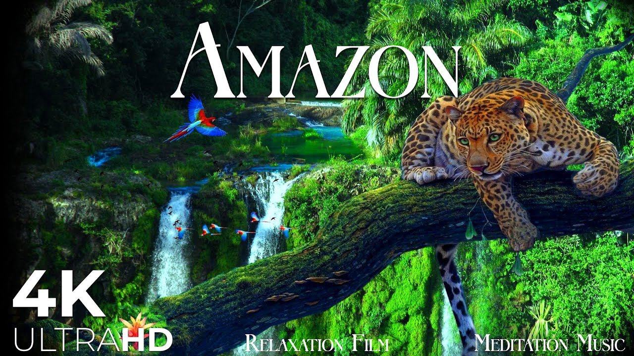 Amazon Rainforest in 4K • Our Planet & Beautiful Relaxing Music, Stress relief by Relaxation Film