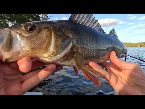 Fishing A Small Forest Lake.