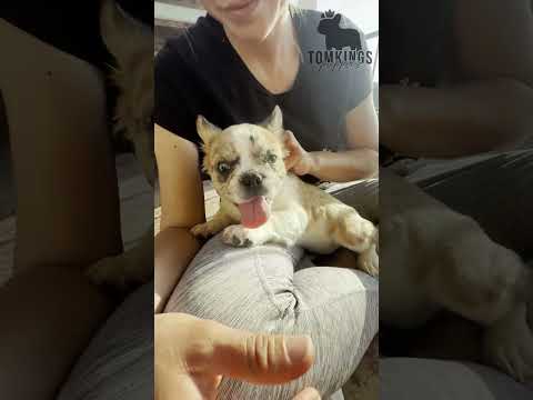 Video 4
