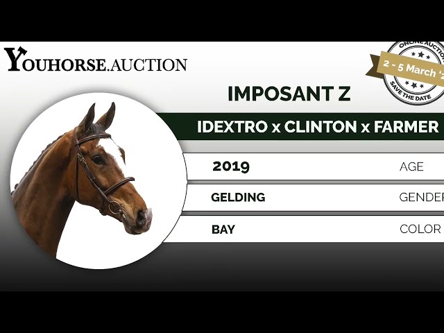 Imposant showvideo indoor