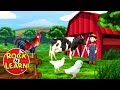 Where Are The Farm Animals