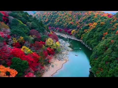 #PeacefulNature#CalmNature#RelaxingNature#HealingNature#SoothingVibes