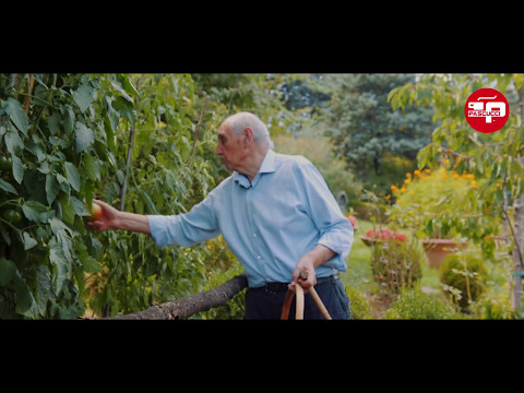 Caffè Pascucci - Il Caffè Naturale