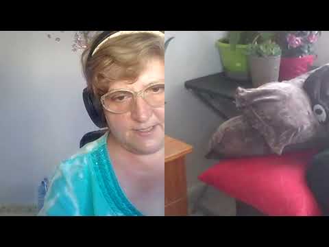 Hipnoza regresiva 202 Silvia de pe ZYrra si vanatoarea karmica intre suflete