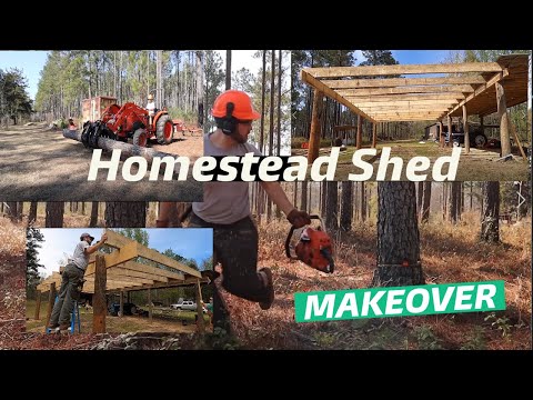 Building a MONSTER Homestead Shed