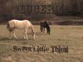 Lucero - Sweet Little Thing
