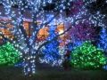 JOHN  DENVER   SILENT  NIGHT.wmv