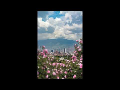 (FREE) Jean Tassy X Zarastruta X Mac Miller Type Beat - "Jardins"
