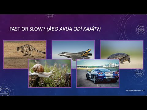 Let's Talk Taíno 92 - Fast or Slow? 🏎️🐢