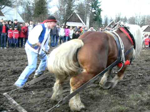Formanské závody-areál Vojtěchov-2010-Těžký tah 1550kg-Marian+Lord
