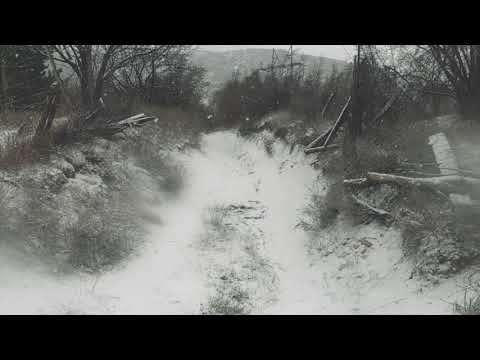 Winter Atmosphere for Relax - Walking in the Snowy Forest in Georgia