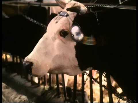 Ivan Mládek - Dva docenti (z filmu Slunce, seno, jahody)