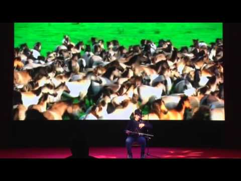 my Erhu performance galloping horses