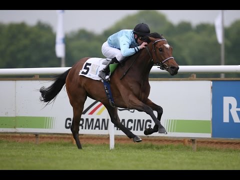 Hannover: Mittelstands - Trophy der Hannoverschen Volksbank (D) - Siegerin: Near Excellent