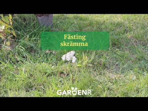 Fästingskrämma - Trädgårdshacks med GardenR