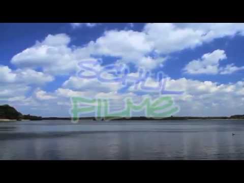Ökosystem See - Trailer Schulfilm Biologie