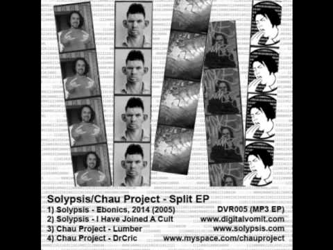 solypsis - i have joined a cult