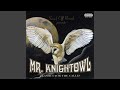 You Did Me Wrong - Knightowl - Topic You Did Me Wrong