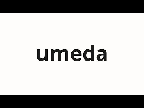 How to pronounce umeda | 梅田 (Maple in Japanese)