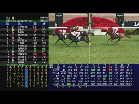 多名利 (N169) DOMINANT ドミナント 2013 香港瓶 HONG KONG VASE 香港ヴァーズ