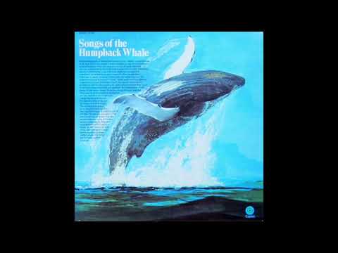 Songs of the Humpback Whale Recorded by Dr. Roger S. Payne