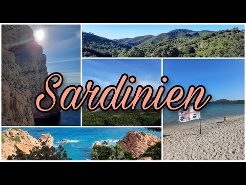 5. Station: Sardinien I Vanlife - Reiseblog#5 I YoDa, Tofii & die wilde 13