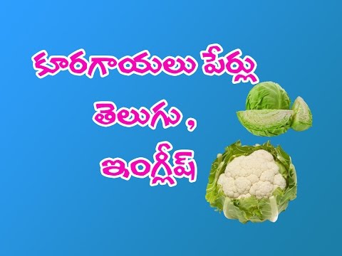 download lagu mp3 mp4 Leafy Vegetable Names In English And Telugu, download lagu Leafy Vegetable Names In English And Telugu gratis, unduh video klip Leafy Vegetable Names In English And Telugu