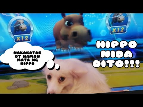EP695 P2- KAHIT HINDI NAG BONUS PANAY HIPPO NAMAN