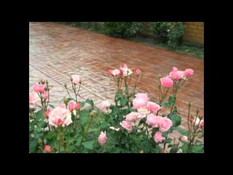 Beton Amprentat Valea Mare de Codru Tel.0761350488 Bihor,Austria,Ungaria,Serbia