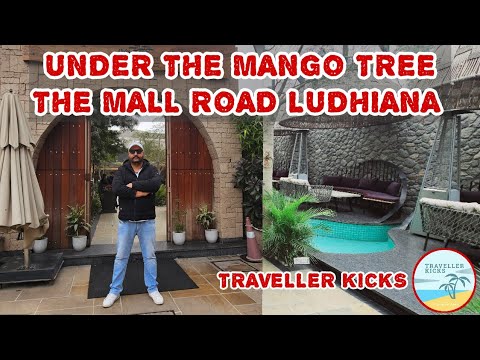 Under The Mango Tree | Kitchen & Bar | Mall Road | Ludhiana
