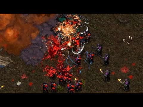 TERRAN VIEW! Action 🇰🇷 (Z) vs Really 🇰🇷 (T) on Tornado - StarCraft - Brood War Remastered