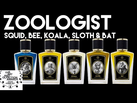 Zoologist  - Squid, Bee, Koala, Sloth and Bat 2020