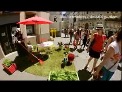 Kickers greeniote la ville