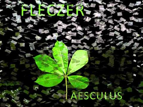 Fleczer - Przekopaliśmy Afere (Aesculus)
